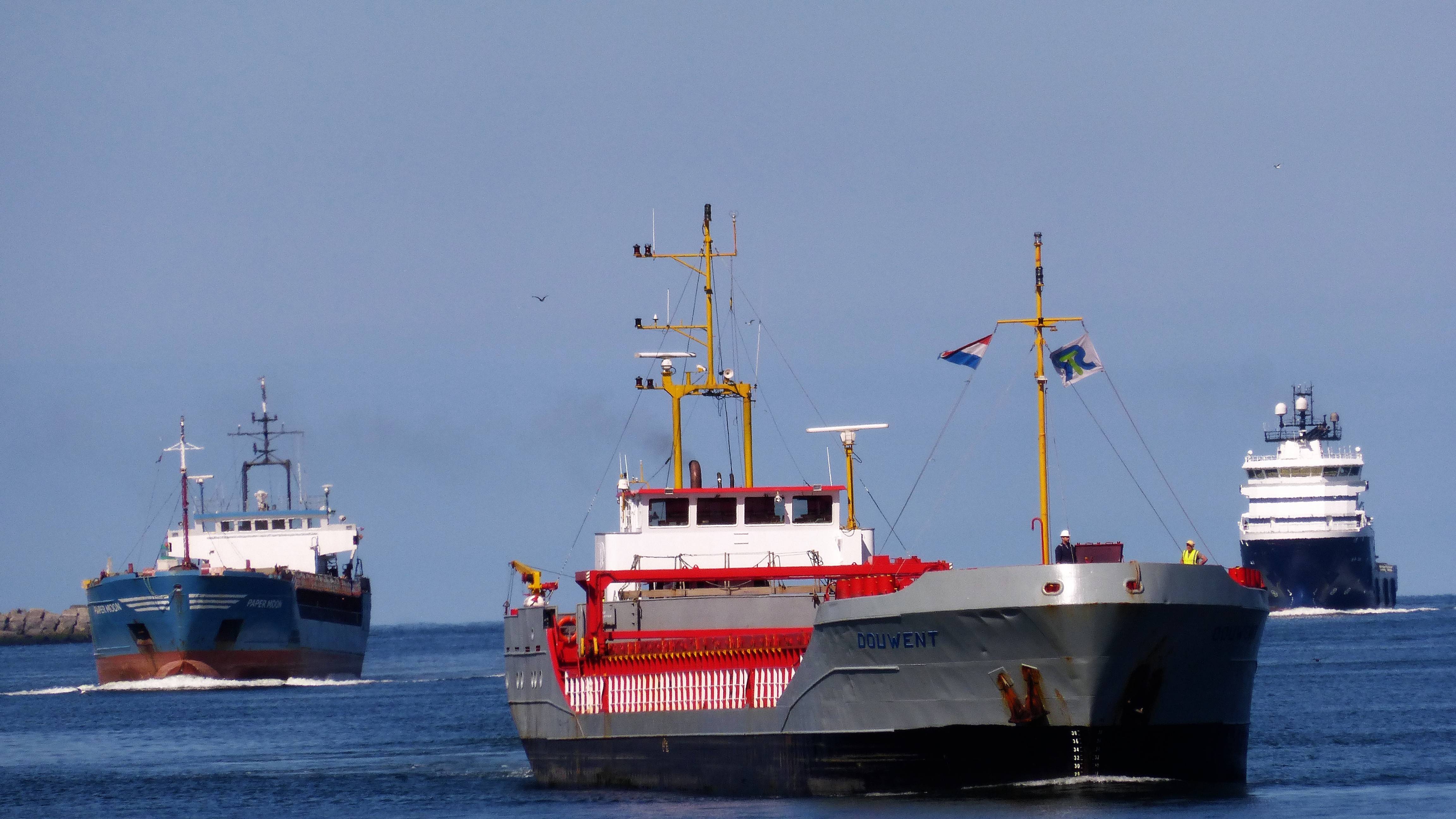 Pieren IJmuiden 09-07-17 